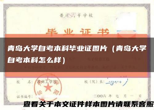 青島大學自考本科畢業證圖片（青島大學自考本科怎么樣）縮略圖