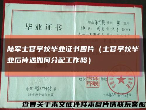陸軍士官學校畢業證書圖片（士官學校畢業后待遇如何分配工作嗎）縮略圖