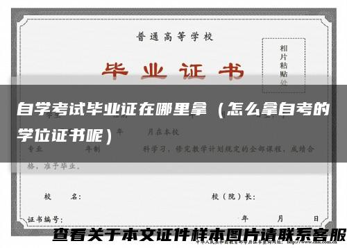 自學考試畢業證在哪里拿（怎么拿自考的學位證書呢）縮略圖