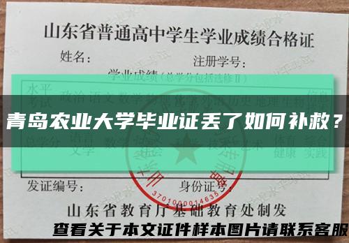青島農業大學畢業證丟了如何補救？縮略圖