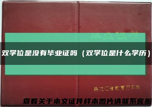 雙學位是沒有畢業證嗎（雙學位是什么學歷）縮略圖