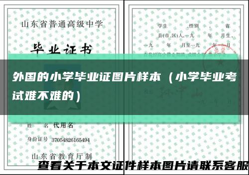 外國的小學畢業證圖片樣本（小學畢業考試難不難的）縮略圖