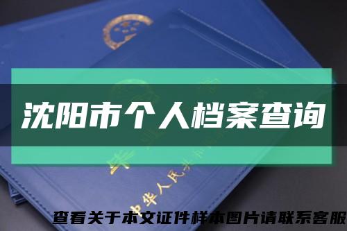 沈陽市個人檔案查詢縮略圖