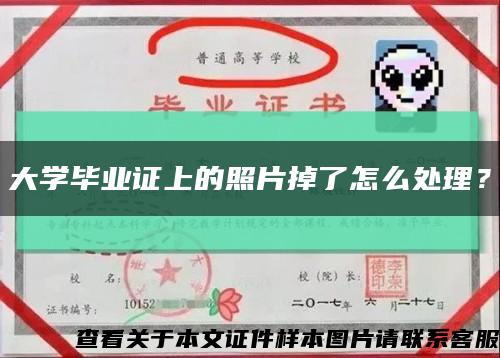 大學畢業證上的照片掉了怎么處理？縮略圖