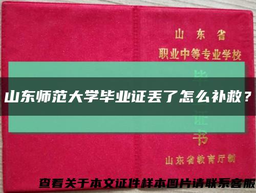 山東師范大學畢業證丟了怎么補救？縮略圖