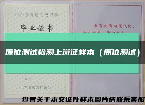 原位測試檢測上崗證樣本（原位測試）縮略圖
