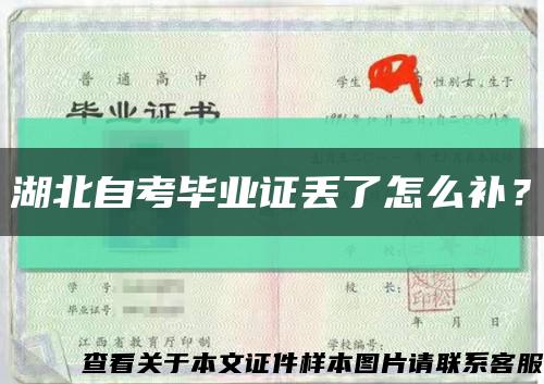 湖北自考畢業證丟了怎么補？縮略圖