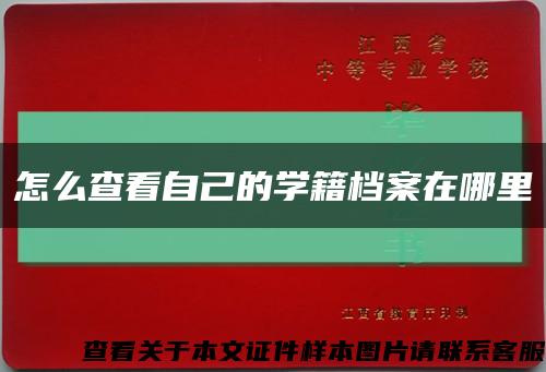 怎么查看自己的學籍檔案在哪里縮略圖