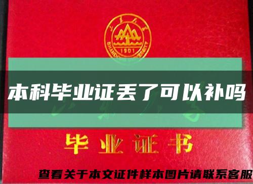 本科畢業證丟了可以補嗎縮略圖