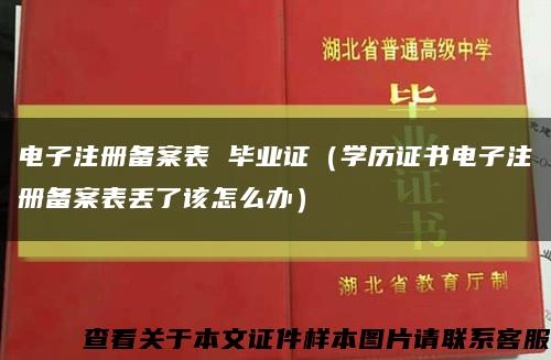 電子注冊備案表 畢業證（學歷證書電子注冊備案表丟了該怎么辦）縮略圖