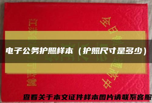 電子公務護照樣本（護照尺寸是多少）縮略圖