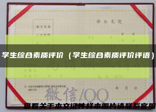 學生綜合素質評價（學生綜合素質評價評語）縮略圖