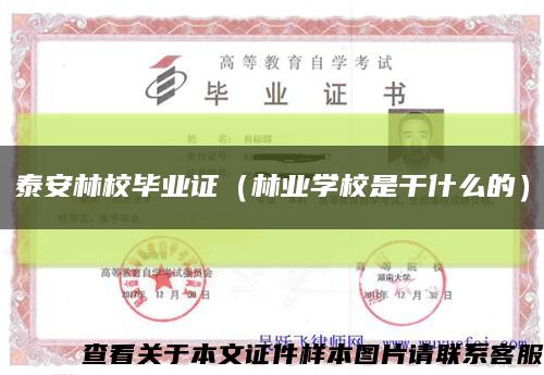 泰安林校畢業證（林業學校是干什么的）縮略圖