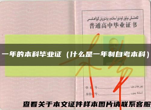 一年的本科畢業證（什么是一年制自考本科）縮略圖
