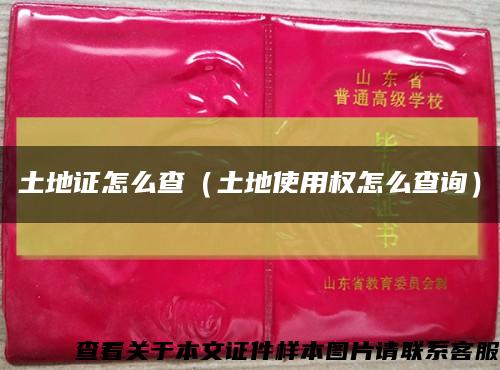 土地證怎么查（土地使用權怎么查詢）縮略圖