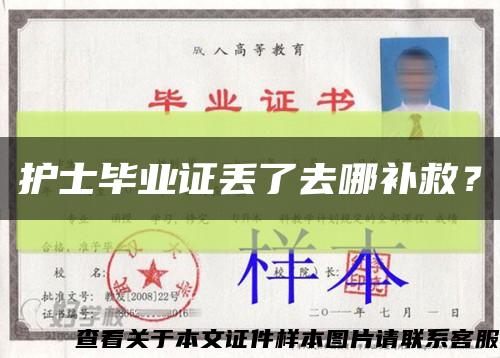護士畢業證丟了去哪補救？縮略圖