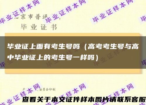 畢業證上面有考生號嗎（高考考生號與高中畢業證上的考生號一樣嗎）縮略圖