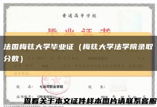 法國梅茲大學畢業證（梅茲大學法學院錄取分數）縮略圖
