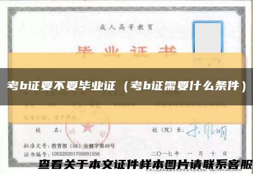 考b證要不要畢業證（考b證需要什么條件）縮略圖