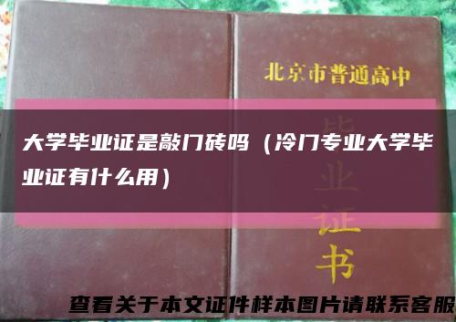 大學畢業證是敲門磚嗎（冷門專業大學畢業證有什么用）縮略圖