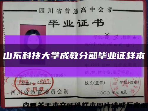 山東科技大學成教分部畢業證樣本縮略圖