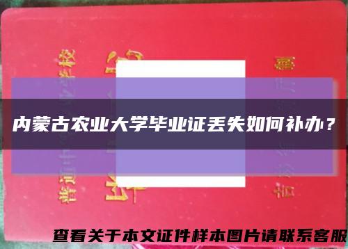 內蒙古農業大學畢業證丟失如何補辦？縮略圖