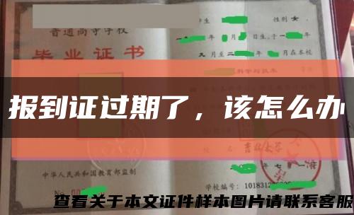 報到證過期了，該怎么辦縮略圖