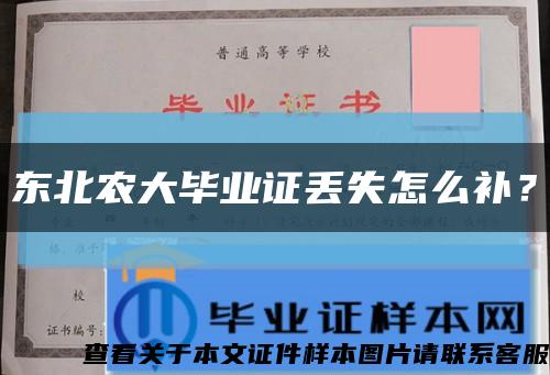 東北農大畢業證丟失怎么補？縮略圖