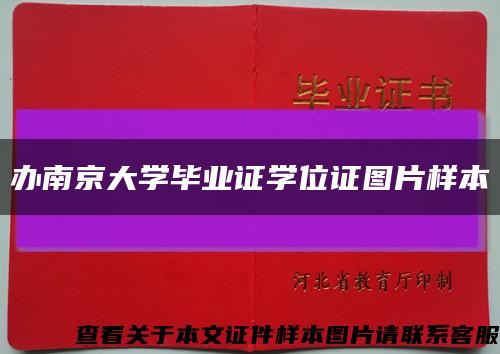 辦南京大學畢業證學位證圖片樣本縮略圖
