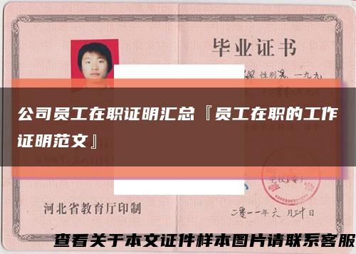 公司員工在職證明匯總『員工在職的工作證明范文』縮略圖