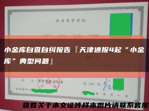 小金庫自查自糾報告『天津通報4起“小金庫”典型問題』縮略圖