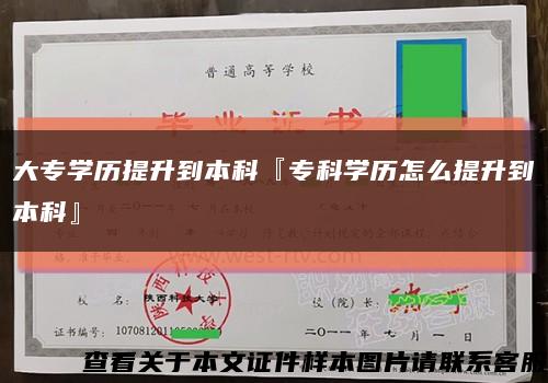大專學歷提升到本科『?？茖W歷怎么提升到本科』縮略圖