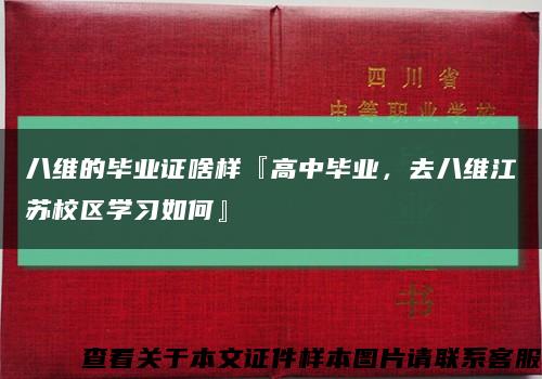 八維的畢業證啥樣『高中畢業，去八維江蘇校區學習如何』縮略圖