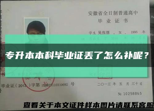 專升本本科畢業證丟了怎么補呢？縮略圖