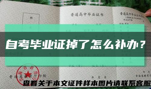 自考畢業證掉了怎么補辦？縮略圖