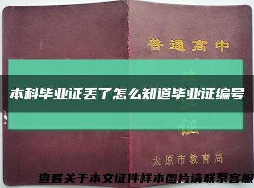 本科畢業證丟了怎么知道畢業證編號縮略圖