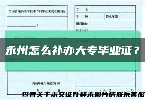 永州怎么補辦大專畢業證？縮略圖