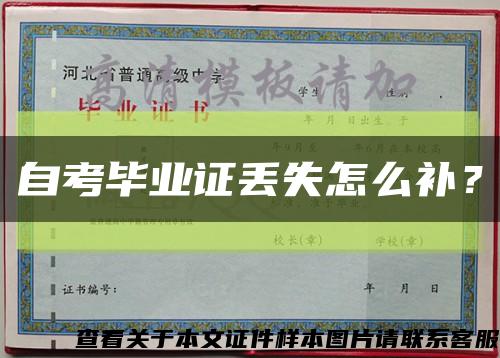 自考畢業證丟失怎么補？縮略圖