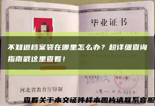 不知道檔案袋在哪里怎么辦？超詳細查詢指南戳這里查看！縮略圖