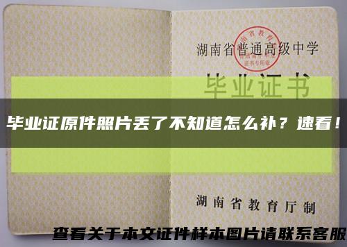 畢業證原件照片丟了不知道怎么補？速看！縮略圖