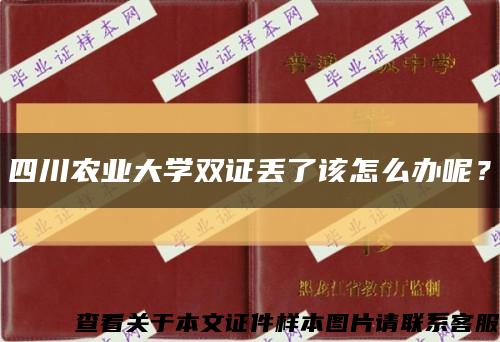 四川農業大學雙證丟了該怎么辦呢？縮略圖