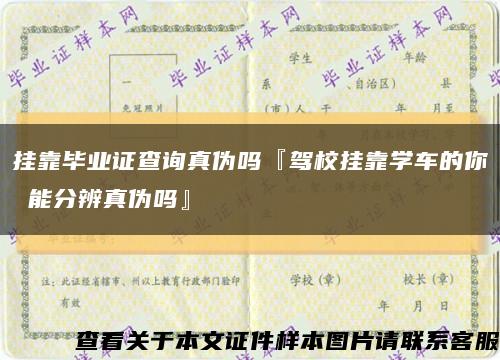 掛靠畢業證查詢真偽嗎『駕校掛靠學車的你 能分辨真偽嗎』縮略圖