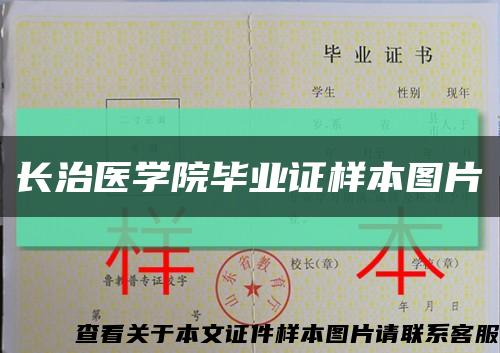 長治醫學院畢業證樣本圖片縮略圖