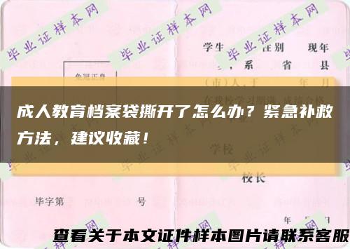 成人教育檔案袋撕開了怎么辦？緊急補救方法，建議收藏！縮略圖
