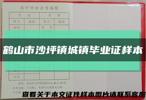 鶴山市沙坪鎮城鎮畢業證樣本縮略圖