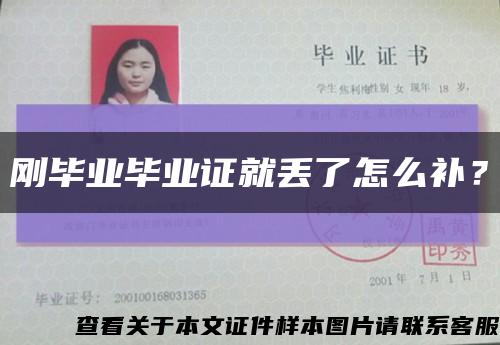 剛畢業畢業證就丟了怎么補？縮略圖