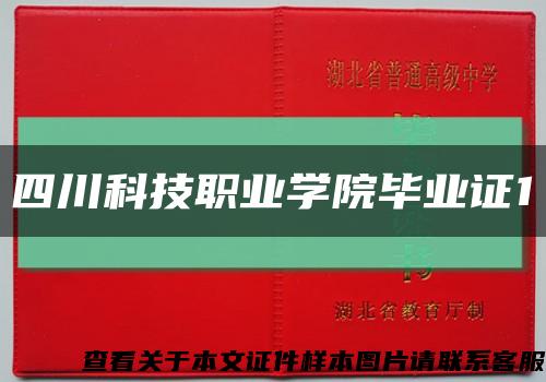 四川科技職業學院畢業證1縮略圖
