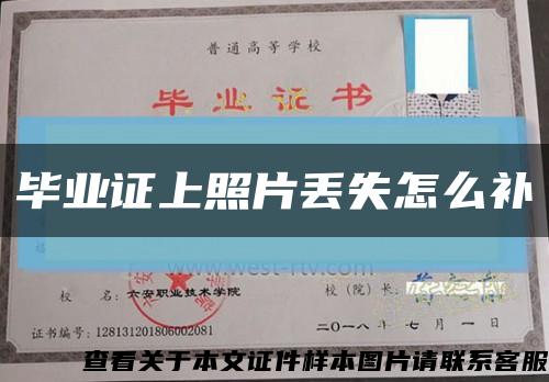 畢業證上照片丟失怎么補縮略圖