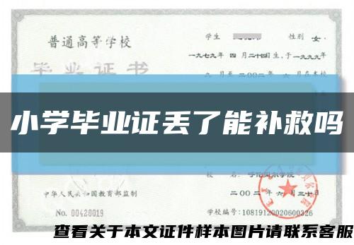 小學畢業證丟了能補救嗎縮略圖