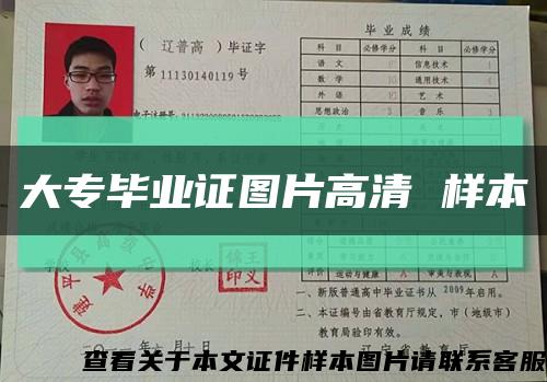 大專畢業證圖片高清 樣本縮略圖
